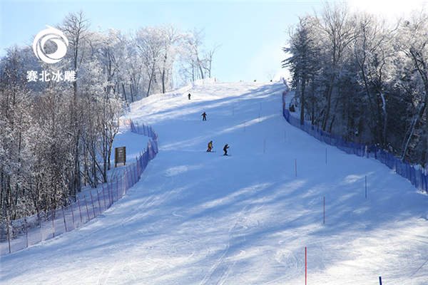 室外滑雪場建設公司